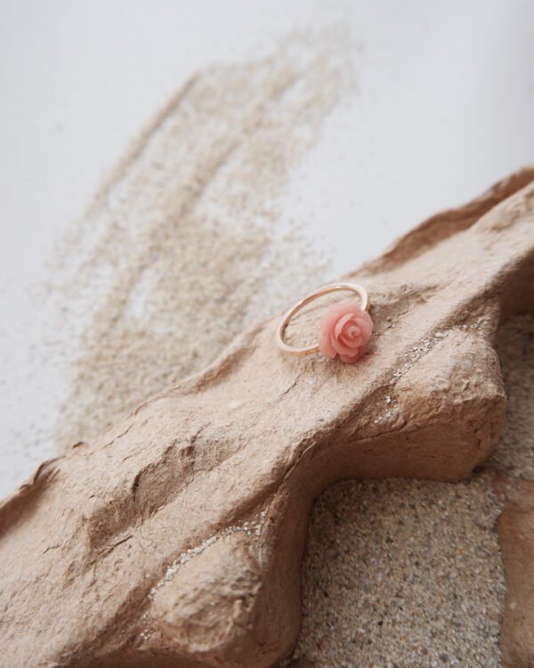 Ambika Pink